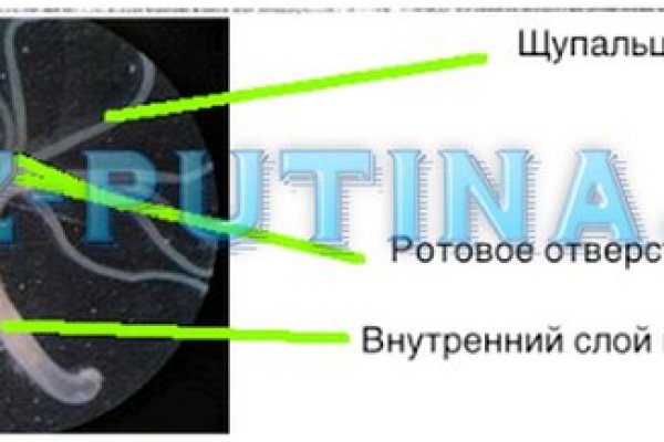 Ссылка на маркетплейс омг